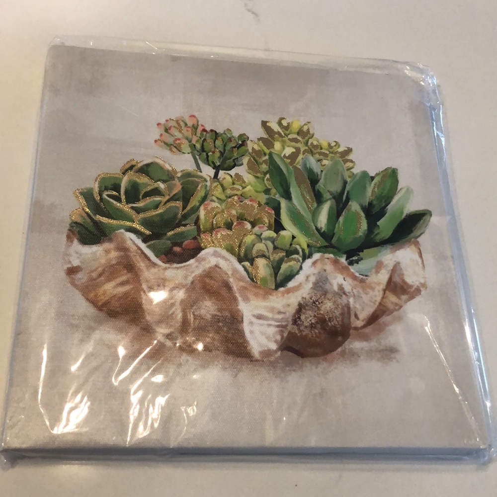 Succulents Rustic plants nwt print 8 x 8 canvas art decor